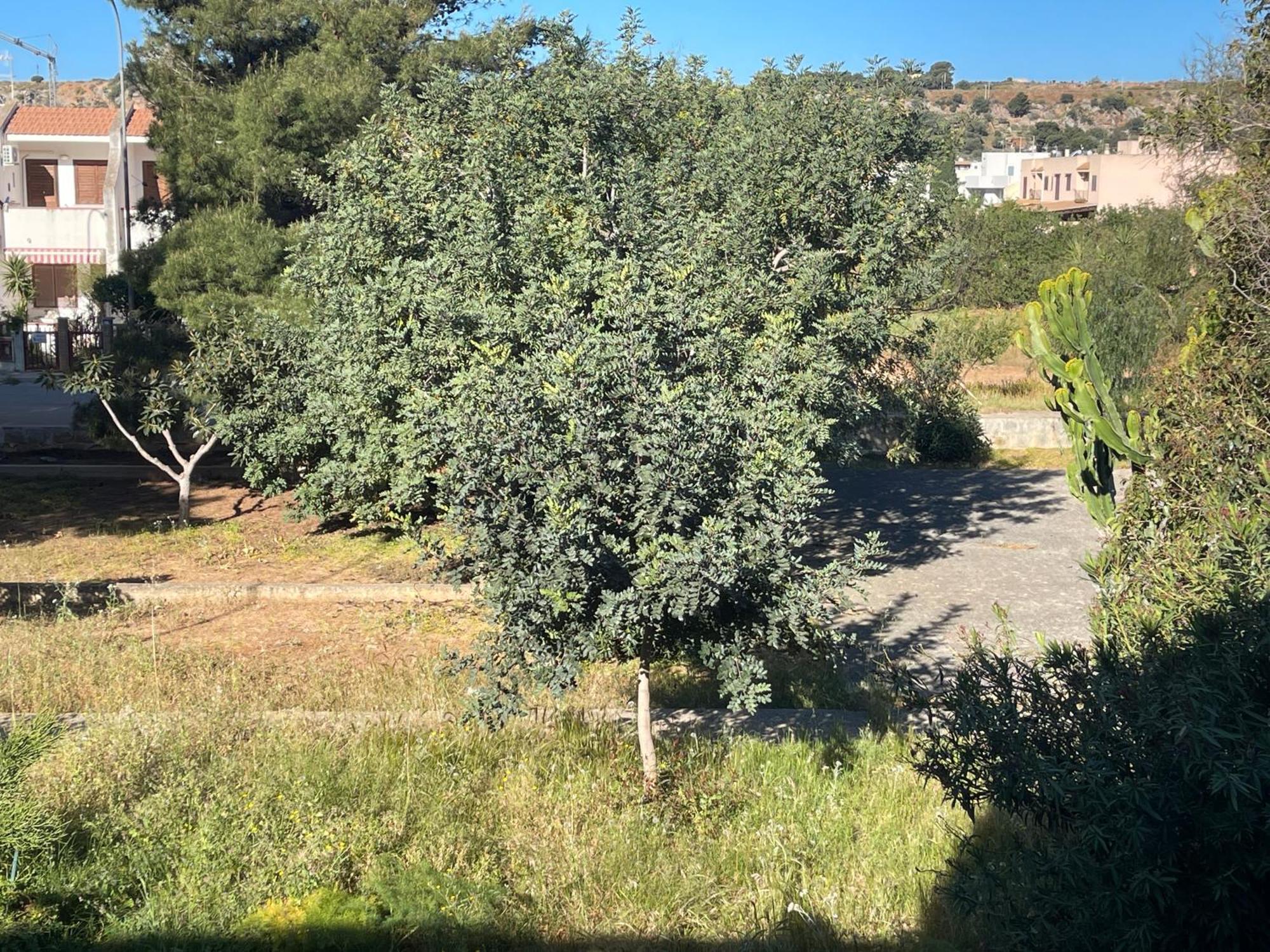 Aurora E Andrea San Vito Lo Capo Villa Ngoại thất bức ảnh